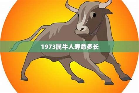 1973年属牛的命运|73年属牛桑柘木命好不好？73年属牛桑柘木命命运全解析